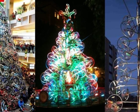 bicycle christmas trees