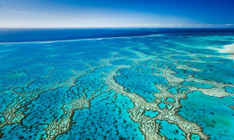 Barriera-corallina-Australia-by-Andrew-Watson-Getty-Imges.jpg