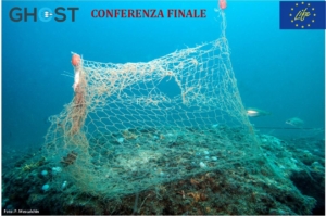 dall'archivio del progetto GHOST. A specimen of Corkwing wrasse swimming near a ghost net