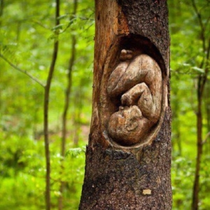 feto scolpito in un albero