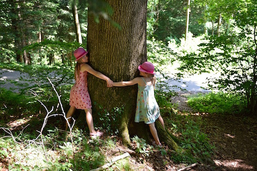 tree-hugging