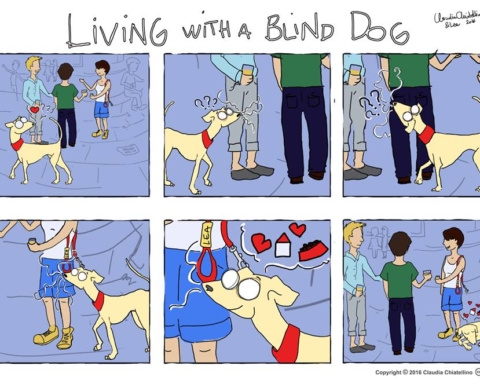 Living with a Blind Dog
