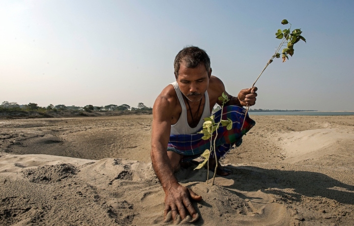 Jadav Molai Paleng