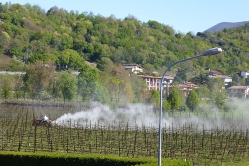 Un momento nella distribuzione del diserbante. Foto: terravivaverona.org