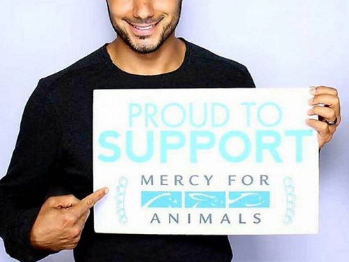 Il principe Khaled bin Alwaleed a sostegno della campagna Mercy For Animals