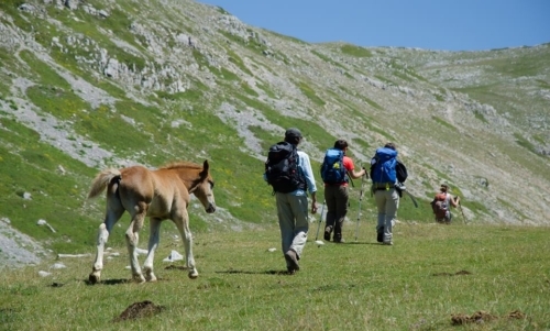 Cammino dei briganti: si può praticare a piedi, in mountain bike o accompagnati dagli asini.