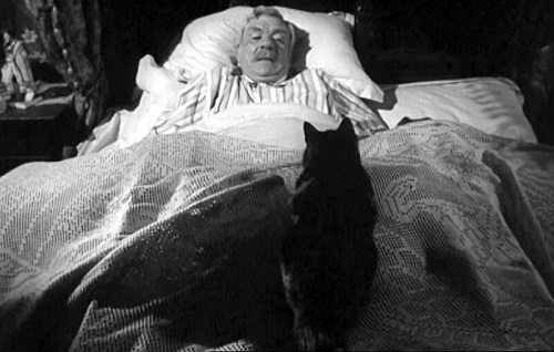 Gatti al Torino Film Festival: The Shadow of the Cat" (1961)