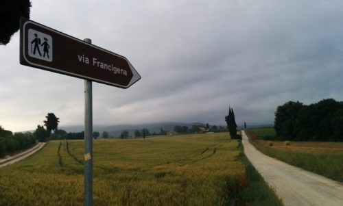 Cammini Emilia Romagna: un tratto della lunga Via Francigena passa per questa regione.