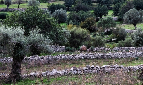 Cammino Ibleo: permette di ripercorrere lantico tracciato della viabilità rurale nel cuore nascosto della Sicilia.