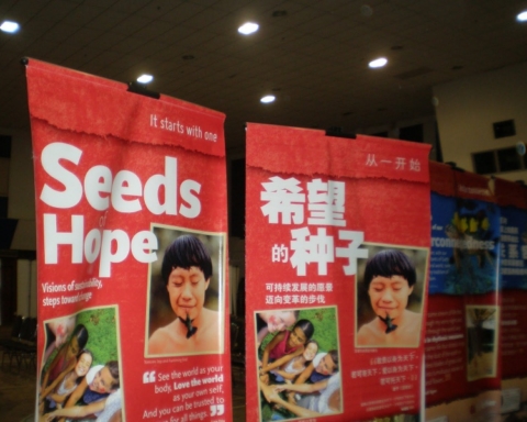 seeds-of-hope-exhibition