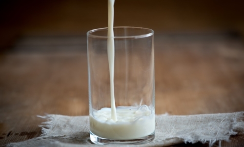The Milk System: il massiccio consumo di latte è associato a presunti effetti benefici sulla salute.