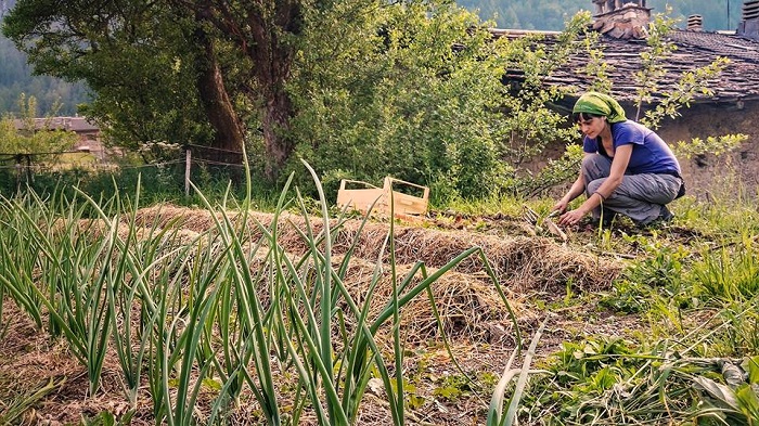 Imparare a coltivare ed autoprodurre sono la base di una vita in montagna