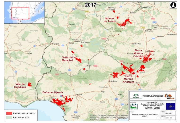 La distribuzione della lince iberica sulla base del censimento 2017