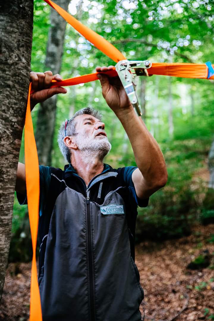 Tree Tents Trekking. Dormire sospesi tra gli alberi