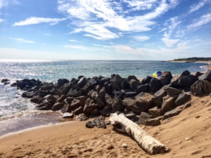 Le spiagge selvagge di Oléron - versante Ovest