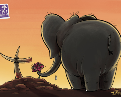 elefanti cimitero vignetta
