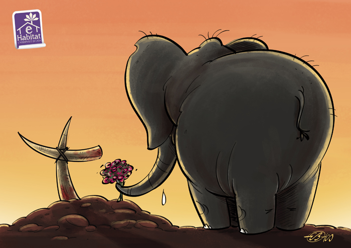 elefanti cimitero vignetta