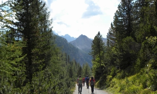 Passaggio chiave: la montagna come terapia