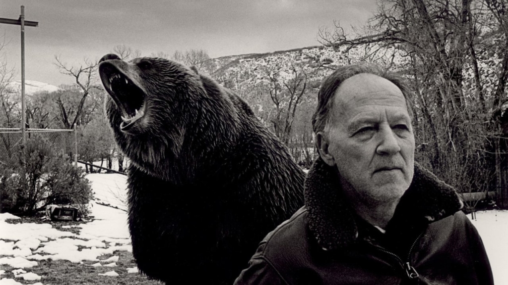 Grizzly Man_retrosp.Herzog--min