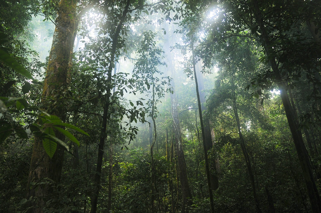 Biodiversità: flora e fauna selvatica da preservare