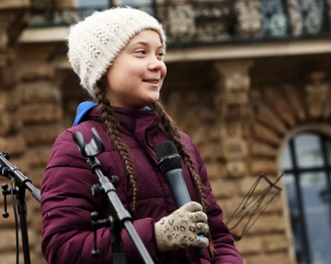 La giovane attivista sedicenne svedese protesta contro il cambiamento climatico sulla terra
