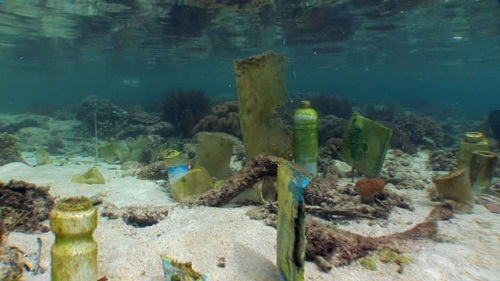 Océans, le mystère plastique, di Vincent Perazio (Francia 2016, 53')