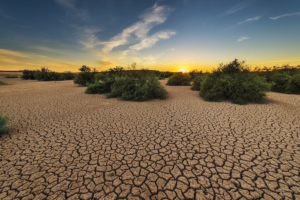 deserto siccità