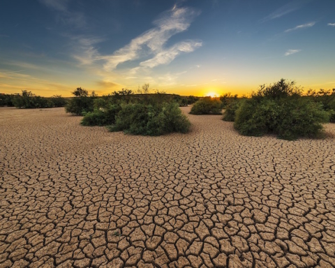 deserto siccità