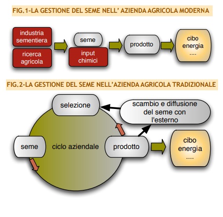 Nella tabella di Rete Semi Rurali le differenze fra la linearità dell'agricoltura moderna e la circolarità dell'agricoltura tradizionale