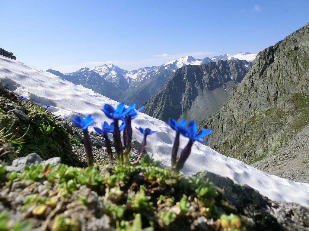 Tirolo, Great Walks