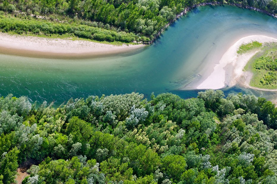 Amazzonia d'Europa fiume Drava foto di Goran Šafarek