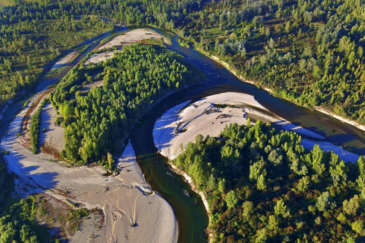 Amazzonia d'Europa Drava in Croazia foto di Goran Safarek