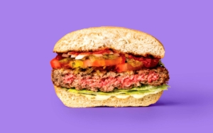 Burger vegano di finta carne 