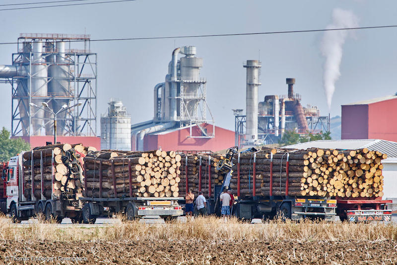 Industria-del-legname-in-Romania-Deforestazione-Romania.jpg