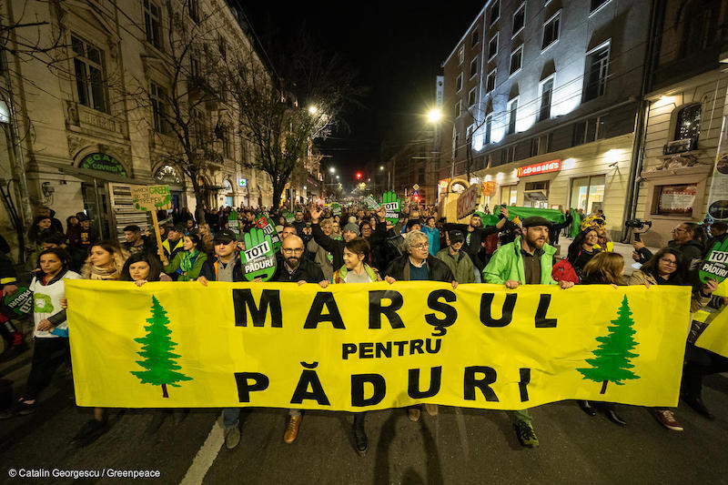 Marcia-per-le-foreste-a-Bucarest-Romania-novembre-2019-Deforestazione-Romania.jpg