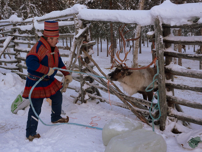 Pastore Sami allevatore di renne (foto Flickr)