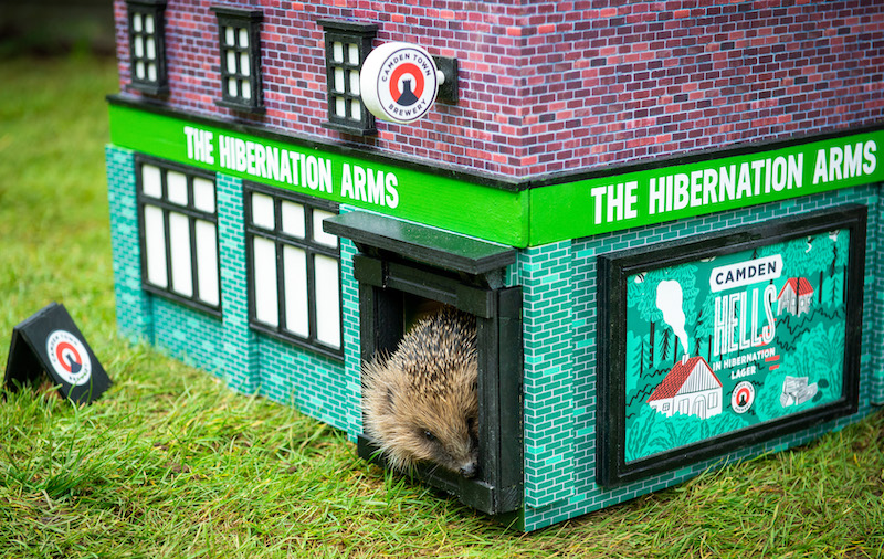 pub per ricci the hibernation arms Camden town brewery Londra