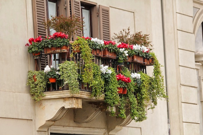 balcone fiorito