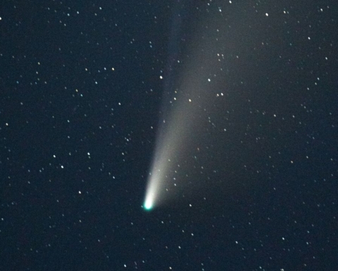 La cometa Erasmus visibile a fine novembre