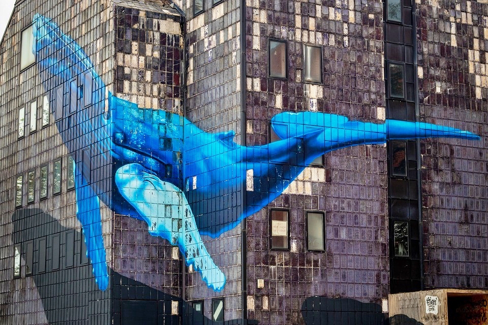 Giornata mondiale della Balena 2021 murales street art