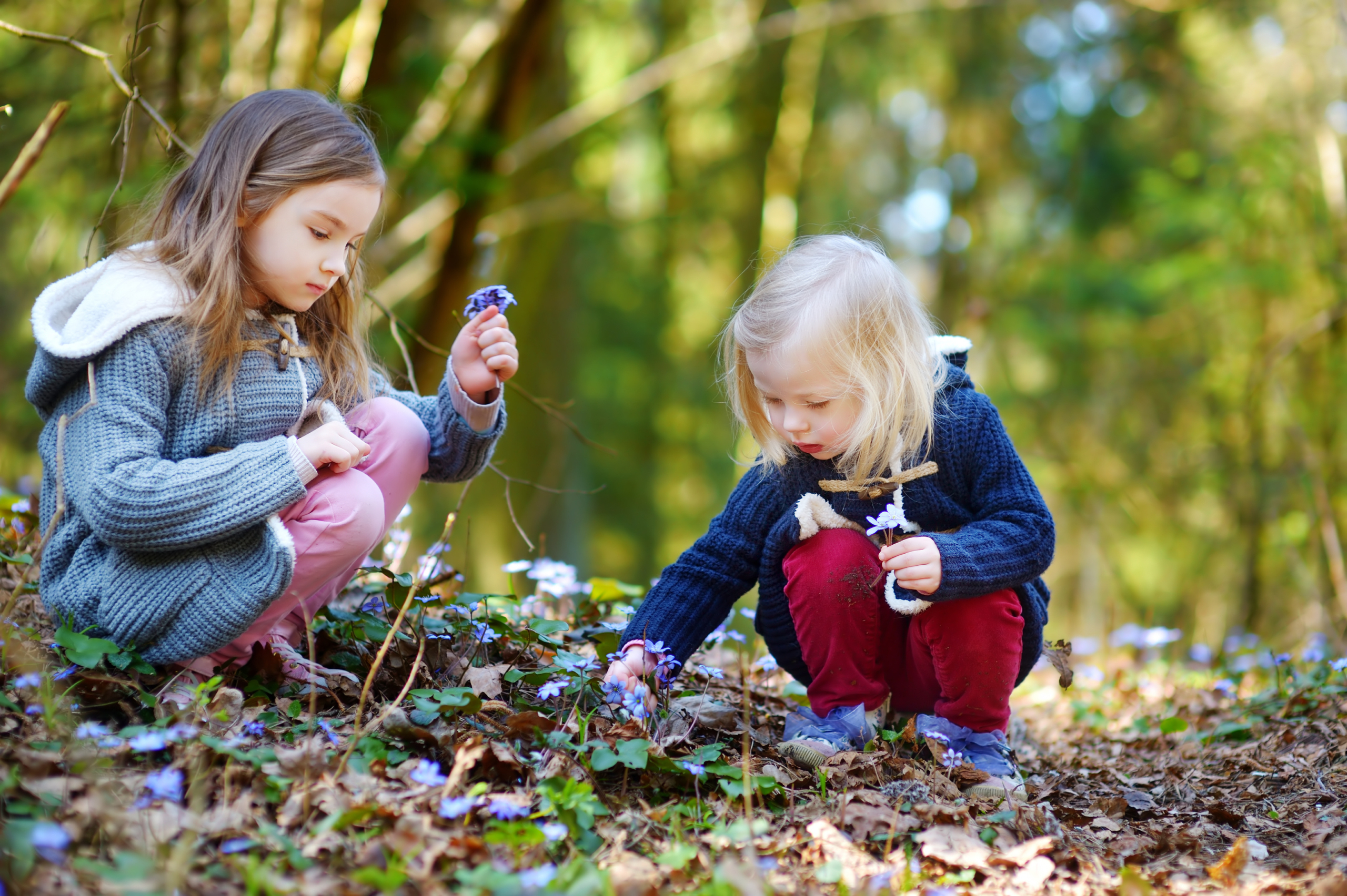 la natura rafforza il sistema immunitario dei bambini