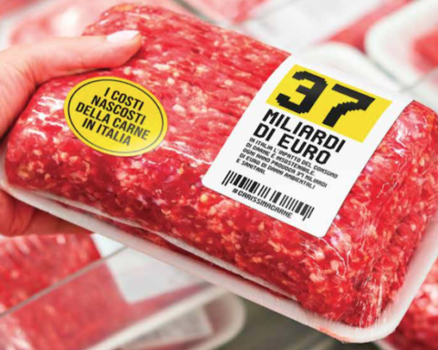 costi nascosti della carne