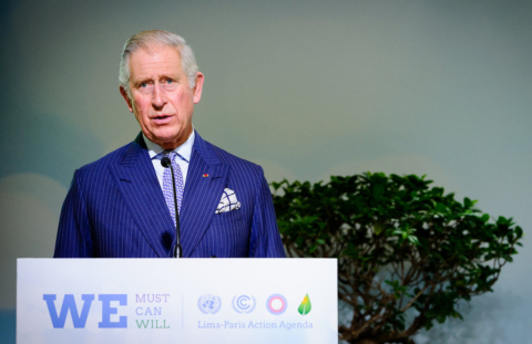 Principe Carlo sostenibilità
