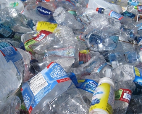 Spesso le bottiglie di plastica non vengono riciclate