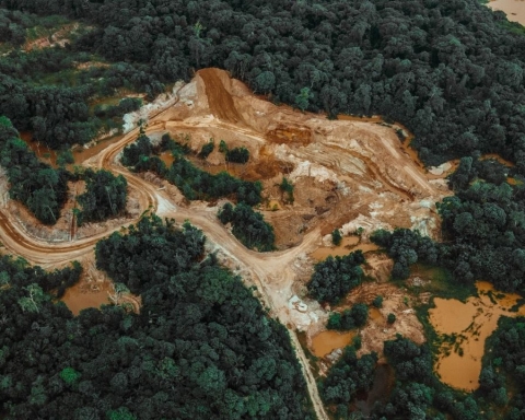 regolamento europeo sulla deforestazione