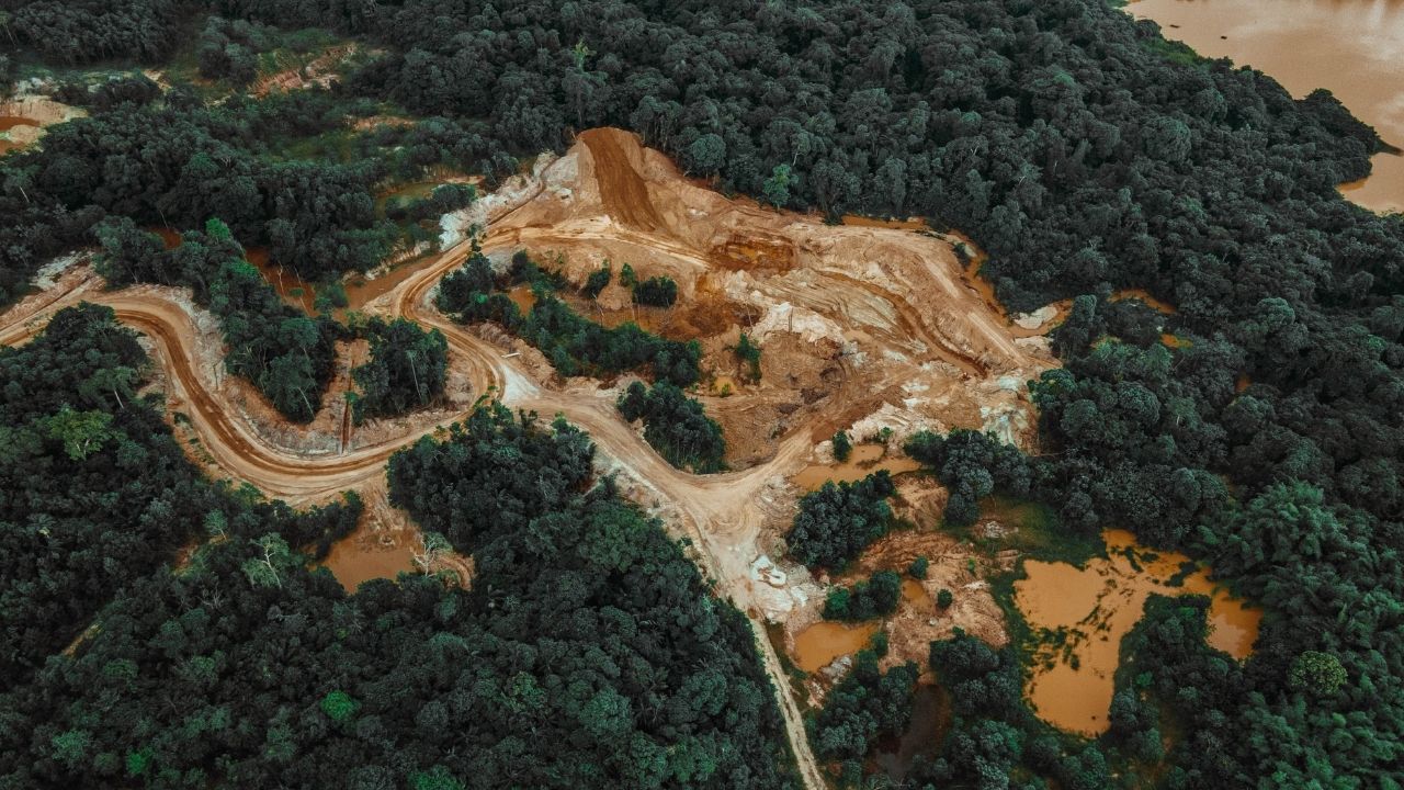 regolamento europeo sulla deforestazione