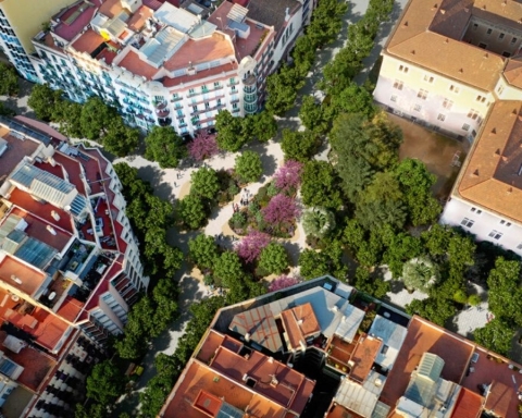 Le strade di Barcellona occupate dagli alberi con il progetto Superilla