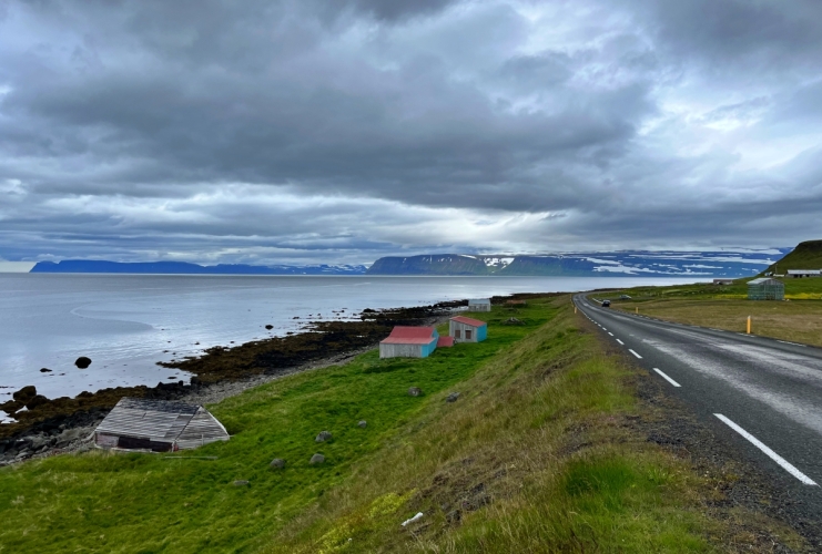 islanda-foche-isafjordur-fiordi-occidentali-ph-francesco-rasero-741x500.jpg