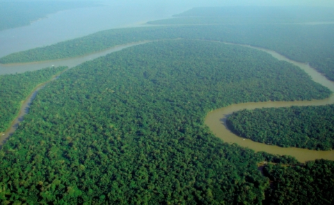 Giornata mondiale d'azione per l'Amazzonia