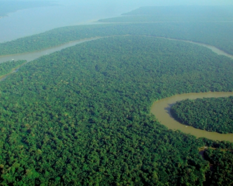 Giornata mondiale d'azione per l'Amazzonia
